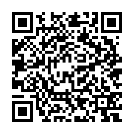 QR code for SI56333