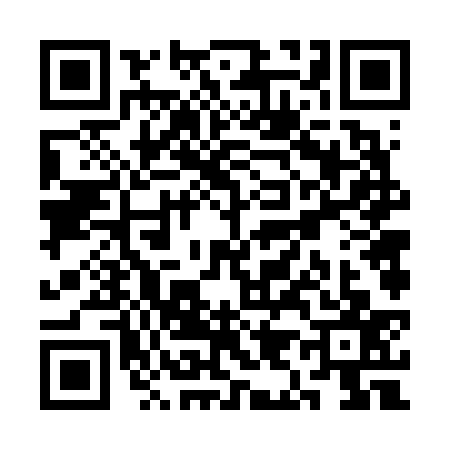 QR code for SI66379