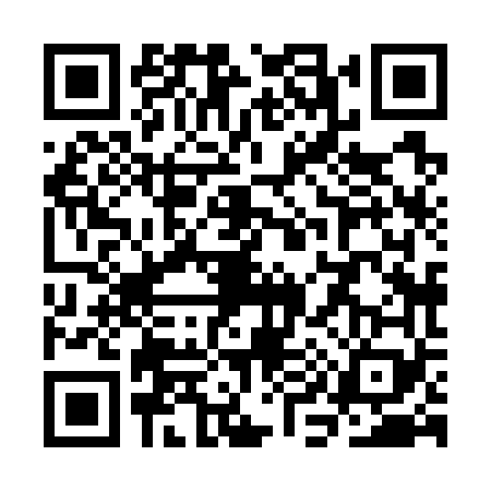 QR code for SI87693