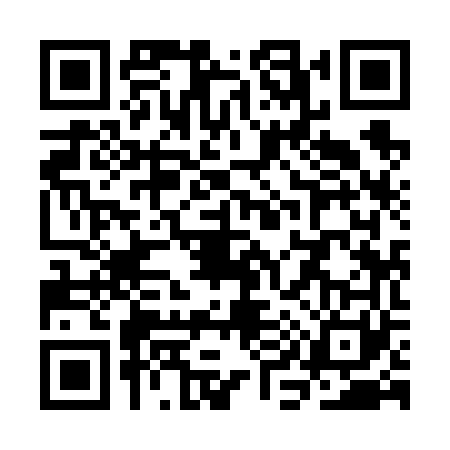 QR code for SI96616