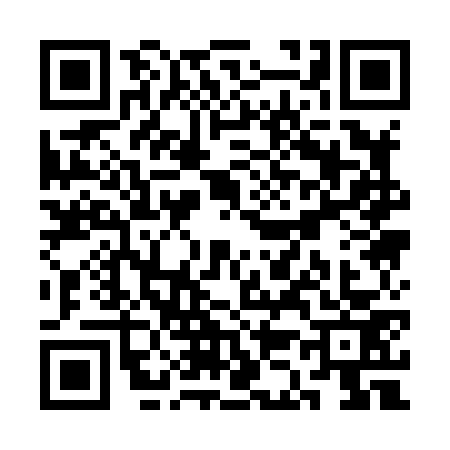 QR code for SK18733