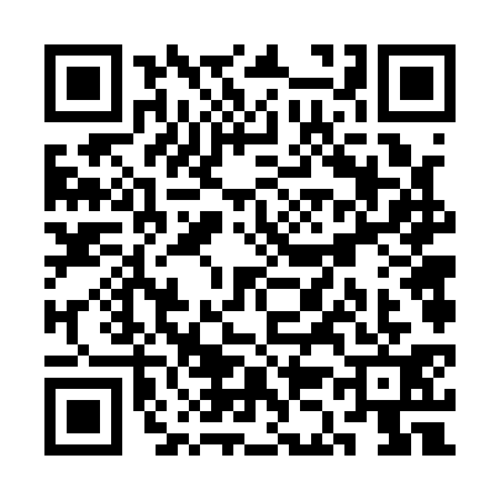 QR code for SK61313