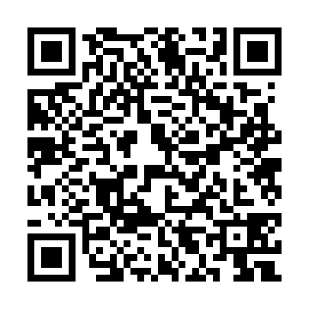 QR code for SL27381
