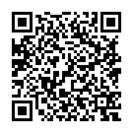 QR code for SL88368