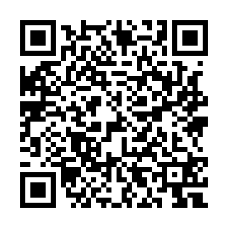 QR code for SL91205