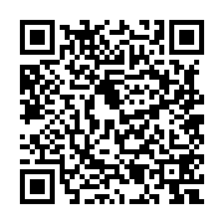 QR code for SM28581