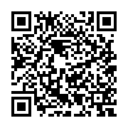 QR code for SM31533