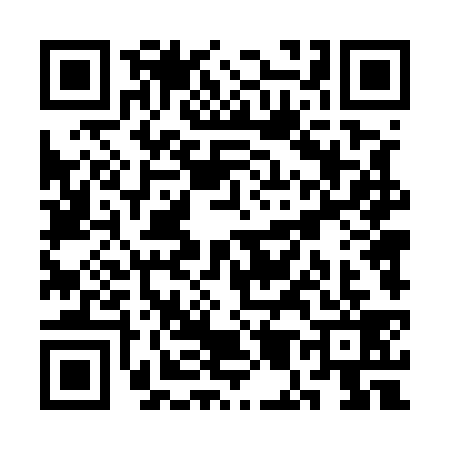 QR code for SM45391