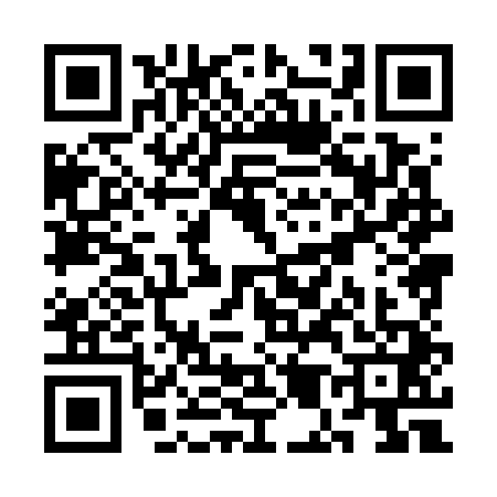 QR code for SM87417