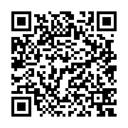 QR code for SN00394
