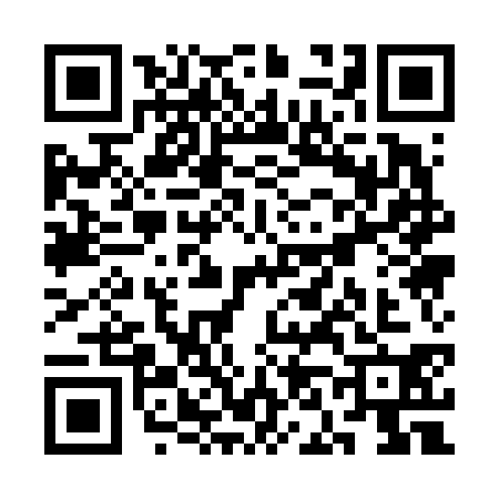 QR code for SN16307