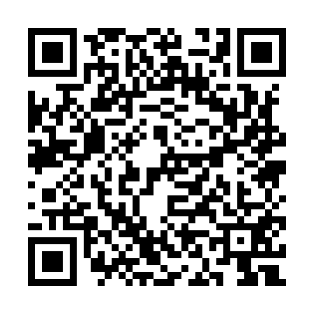 QR code for SN19517