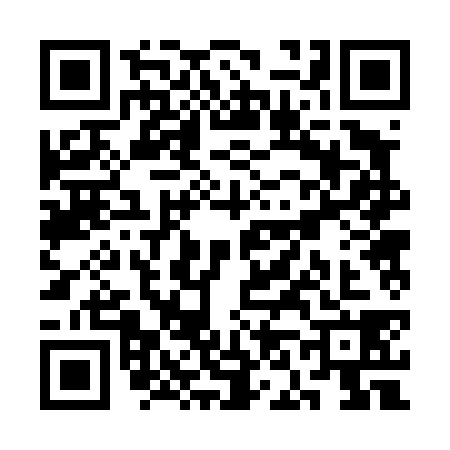 QR code for SN24383
