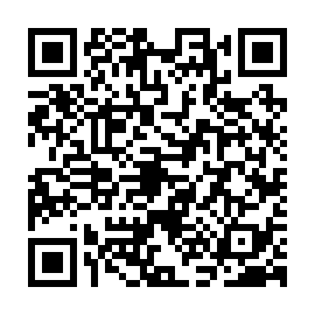 QR code for SN62393