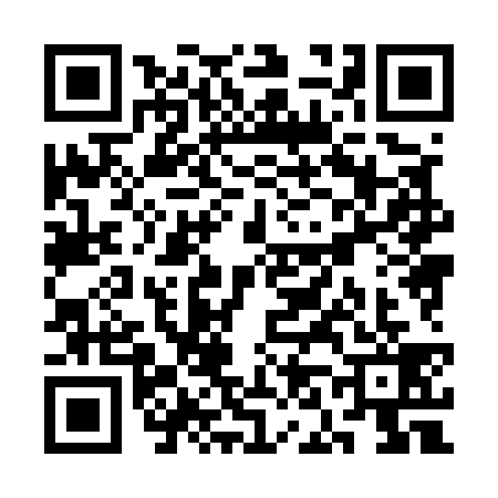 QR code for SN85398