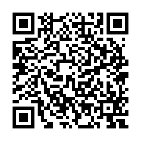 QR code for SO12979