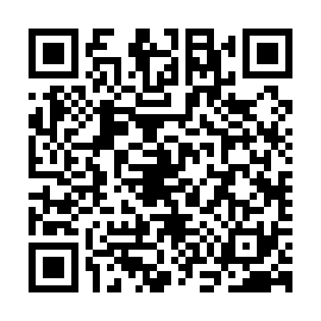 QR code for SO21313
