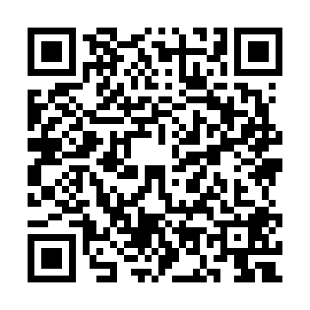 QR code for SO96081
