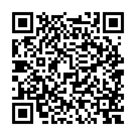 QR code for SP03866