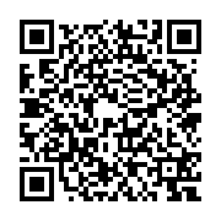 QR code for SP17206