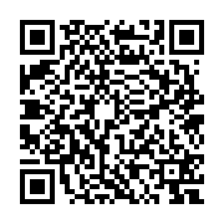 QR code for SP36211