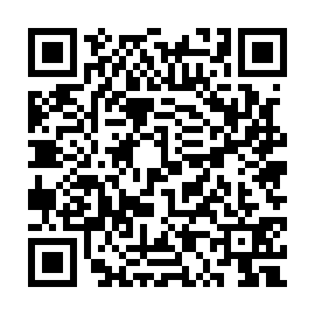 QR code for SP51317