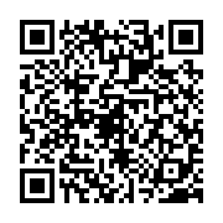 QR code for SQ52993