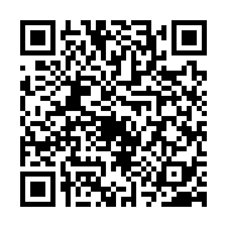QR code for SQ93391