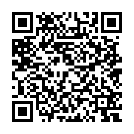 QR code for SR05229