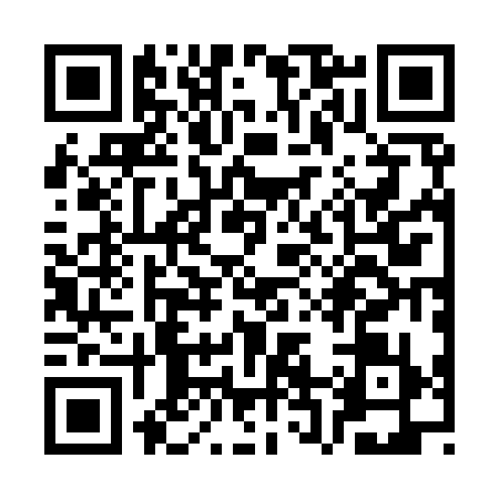 QR code for SR29394