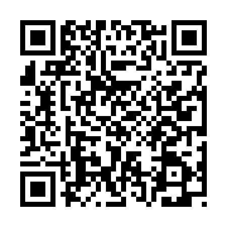 QR code for SR46251