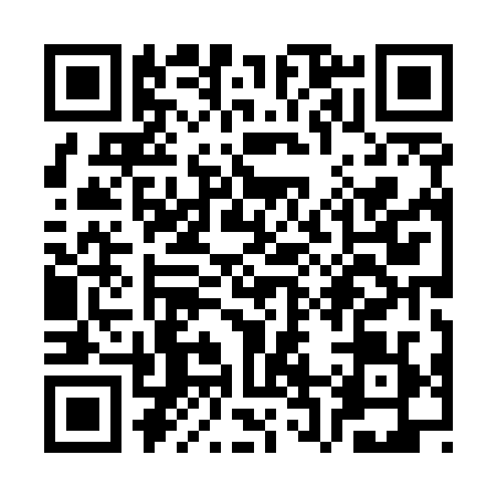 QR code for SR85291