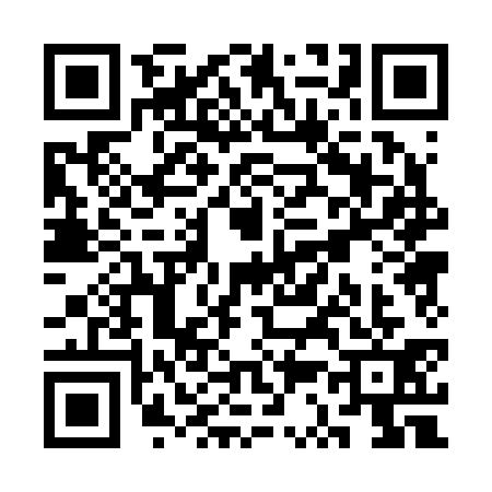 QR code for SS02311