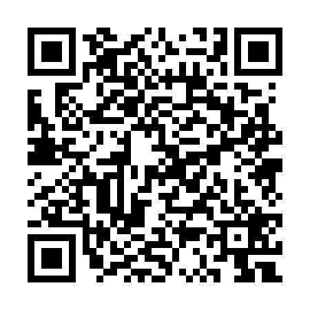QR code for SS07291