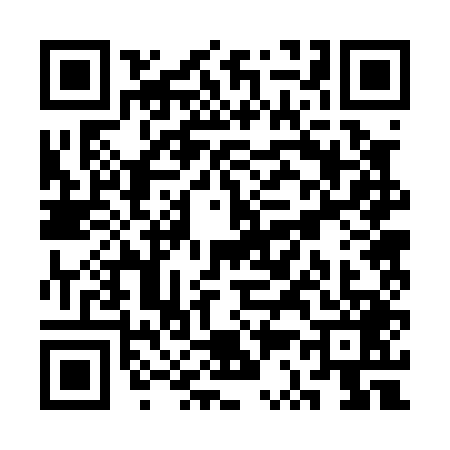 QR code for SS20499