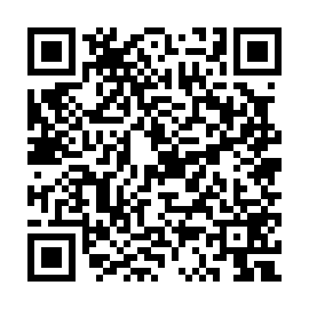 QR code for SS50596