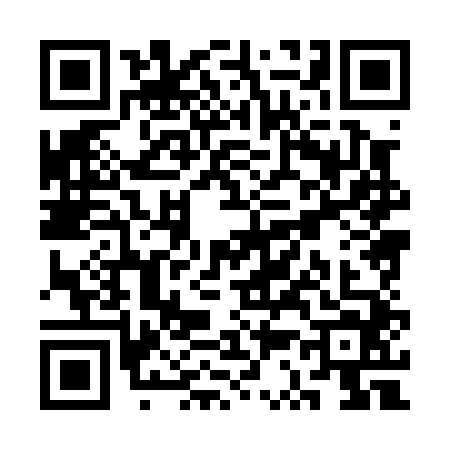 QR code for SS80445