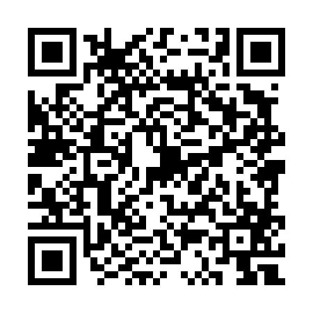 QR code for SS84873