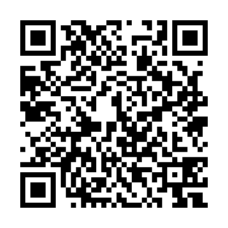 QR code for ST11382