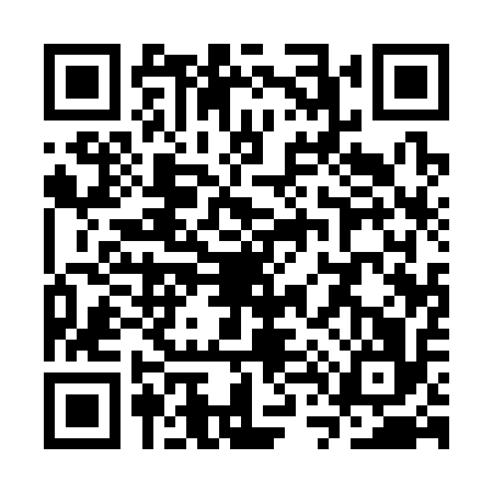 QR code for ST13164