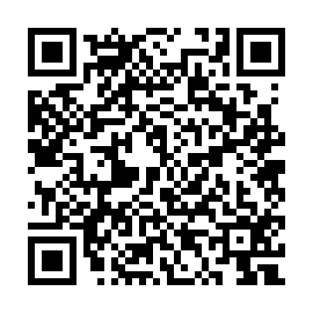 QR code for ST23161