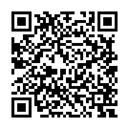 QR code for ST38463