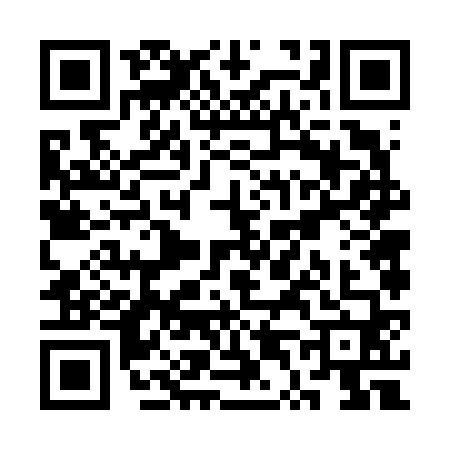 QR code for ST66603