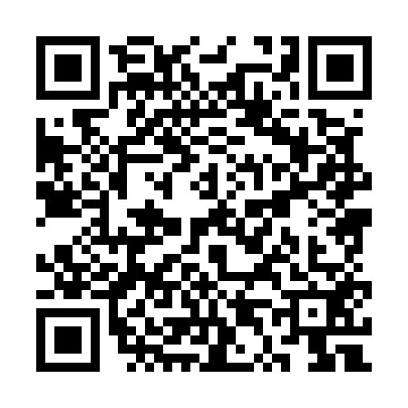 QR code for ST85529