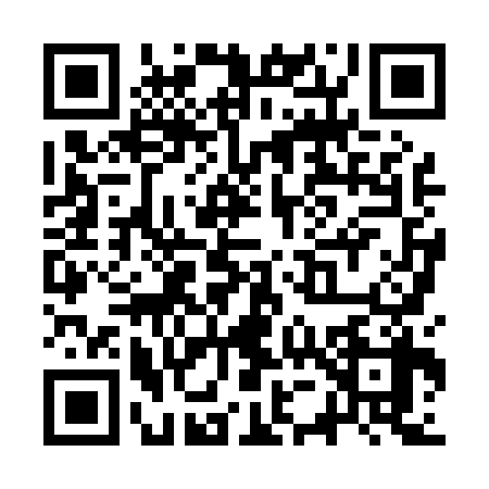 QR code for SU80381