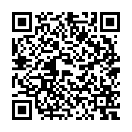 QR code for SV16673