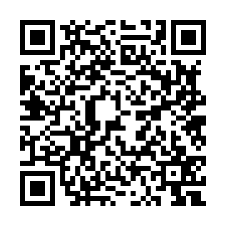 QR code for SV28377