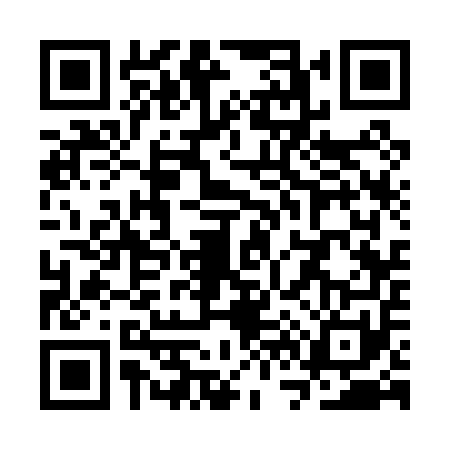 QR code for SV30511