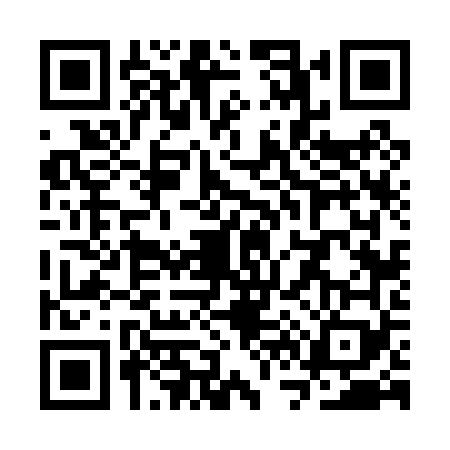 QR code for SV60699