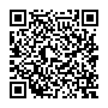 QR code for SV81055